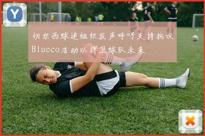 切尔西球迷组织发声呼吁支持抗议Blueco活动以捍卫球队未来